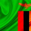 Zambia Flag paint by number