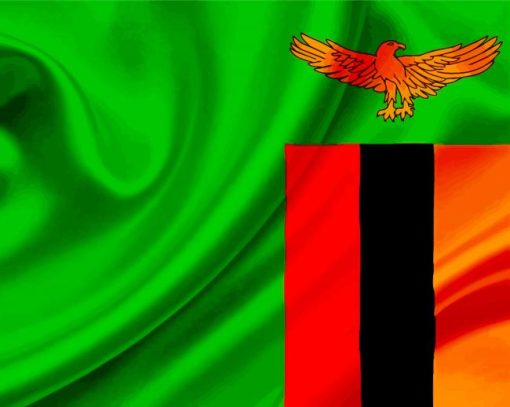 Zambia Flag paint by number