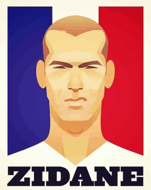 Zinedine Zidane Poster paint by number