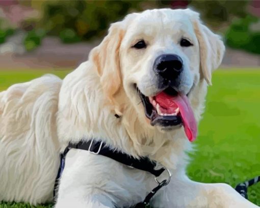 Aesthetic English Golden Retriever paint by number