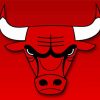 Basketball Logo Bulls paint by number