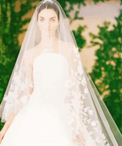 Beautiful Bridal Veil paint by number