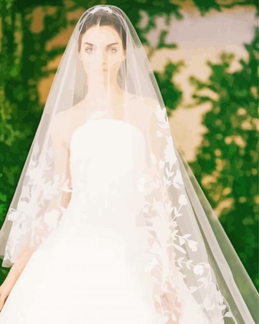 Beautiful Bridal Veil paint by number