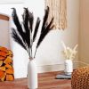 Black Pampas Grass paint by number