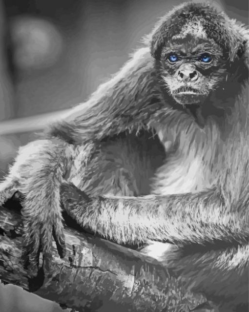 Black And White Spider Monkey paint by number