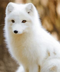 Brown Eyes Baby Arctic Fox paint by number