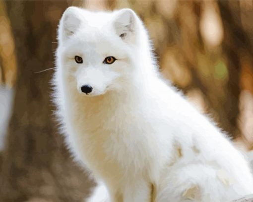 Brown Eyes Baby Arctic Fox paint by number