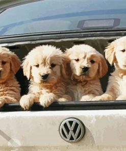 Cute Dogs In A Car paint by number