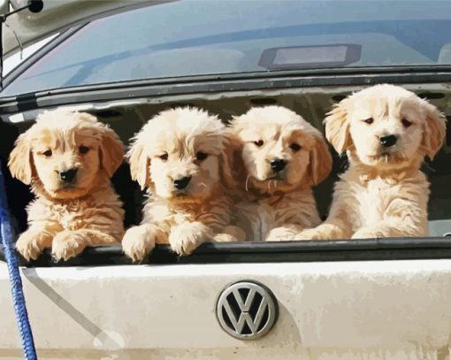 Cute Dogs In A Car paint by number