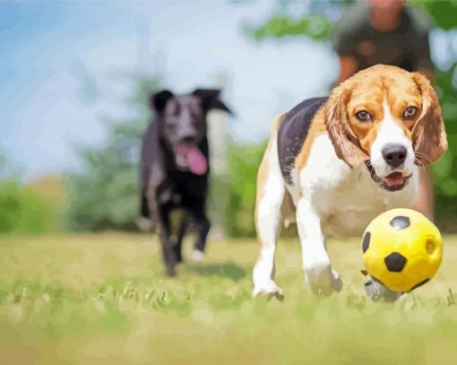 Dogs Playing Football paint by number