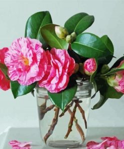 Glass Vase With Camellia Flowers paint by number