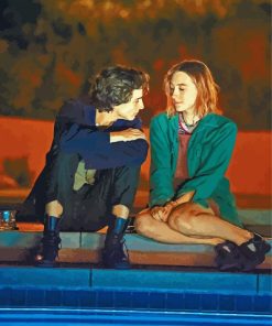 Lady Bird Drama Movie paint by number