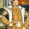 Portrait Of Henry VIII paint by number