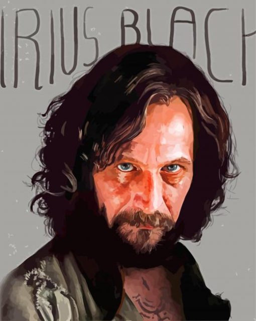 Sirius Black paint by number