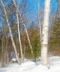 White Silver Birch paint by number