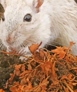 White Rodent Hairy Rat paint by number