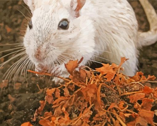 White Rodent Hairy Rat paint by number