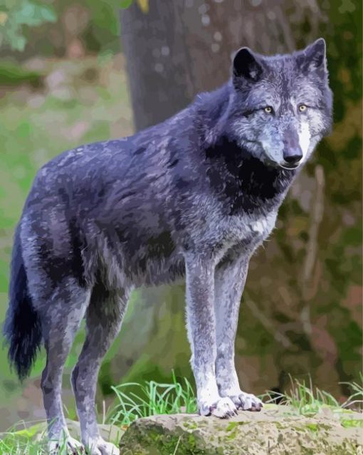 Wolf Northwestern Animal paint by number