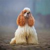 Adorable American Cocker Spaniel paint by number