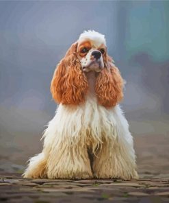 Adorable American Cocker Spaniel paint by number