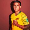 Australian Player Tim Cahill paint by number