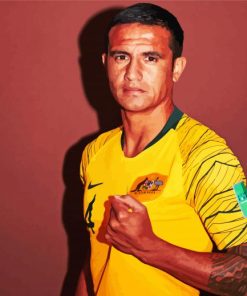 Australian Player Tim Cahill paint by number