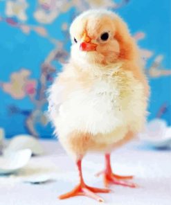 Baby Chicken paint by number