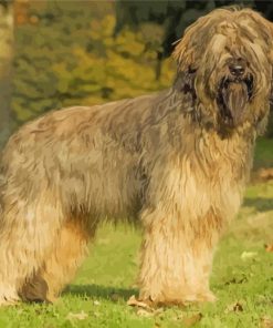 Beige Briard Dog paint by number