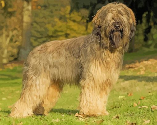 Beige Briard Dog paint by number