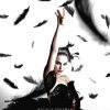 Black Swan Poster paint by number