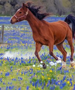 Bluebonnets And Horse paint by number