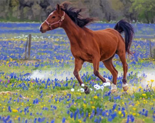 Bluebonnets And Horse paint by number