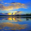 Burnaby Lake At Sunrise paint by number