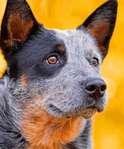 Cute Australian Cattle Dog paint by number