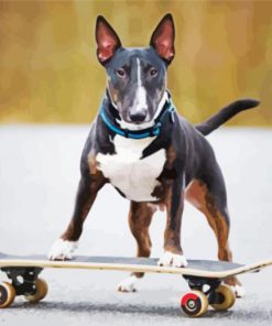 Dog Skateboard paint by number