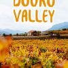 Douro Valley Poster paint by number