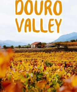 Douro Valley Poster paint by number