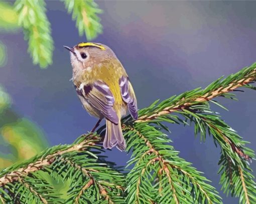 Goldcrest On Branch paint by number