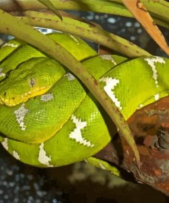 Green Emerald Snake paint by number