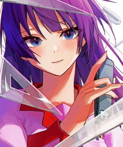 Hitagi Senjougahara paint by number