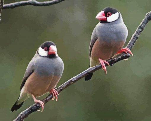 Java Sparrows On A Branch paint by number