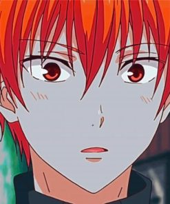 Kyo Sohma Fruits Basket Anime paint by number