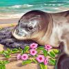 Monk Seal By Sea paint by number