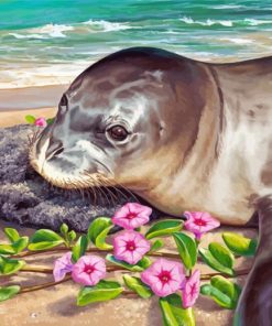 Monk Seal By Sea paint by number