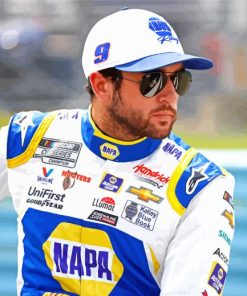 Nascar Elliott Car Driver paint by number