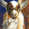 Nigerian Dwarf Goat Art paint by number