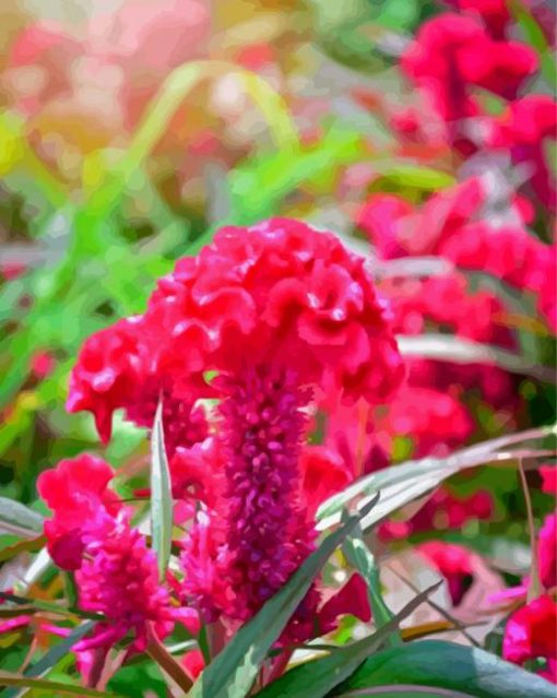 Pink Cockscomb Flower paint by number