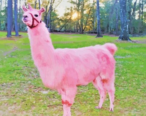 Pink Llama paint by number