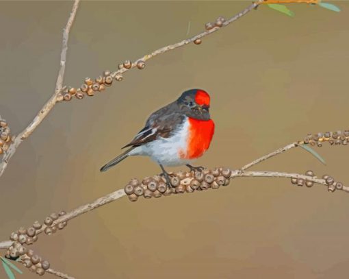 Red Capped Robin On Tree paint by number