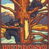 Ruidoso New Mexico Poster Art paint by number